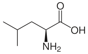 Leucin